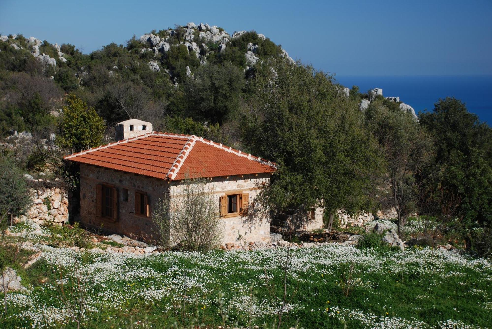 Hoyran Wedre Country Houses Davazlar Luaran gambar